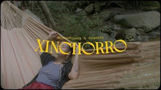 Xinchorro - Motherflowers & Anakena (Video oficial)