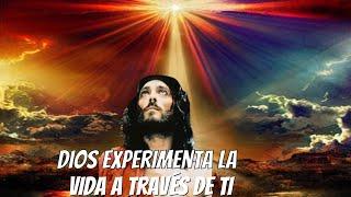 Descubre cómo Dios experimenta directamente la vida a través de ti