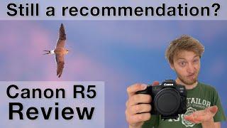 Canon’s best camera for bird photographers? Canon R5 review (after 2 years)