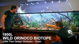 1800 liter - Wild Orinoco Biotope - Little Tree Design Biotopes