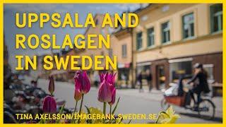 Uppsala and Roslagen in Sweden