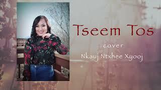 Tseem Tos - Nkauj Ntxhee Xyooj (cover)
