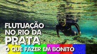 O que fazer em Bonito MS: Flutuação no Rio da Prata