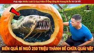 Phát Hiện Nhiều Loài Cá Quý Hiếm Ở Ống Cống Bỏ Hoang Bí Ẩn Và Cái Kết | Review Giải Trí Đời Sống