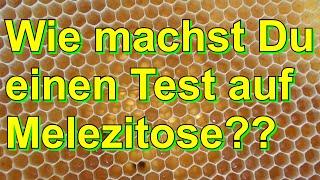 Wie machst Du einen Test auf Melezitose