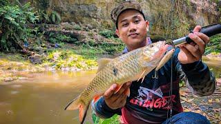 Nekat Mancing Setelah Hujan, Malah Dapat Ikan Besar‼️