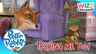 ​ @OfficialPeterRabbit - Tricking Mr Tod | Cartoons for Kids | @WizzCartoons