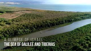 A glimpse of the Sea of Galilee & Tiberias