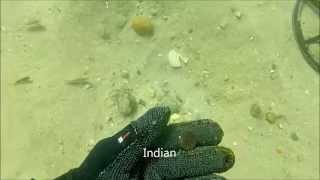 Diving an 1870’s Resort Site – Underwater metal detecting