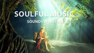 Music of nature. Sounds of nature. Soulful music
