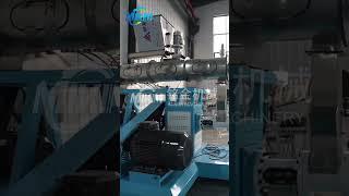 fish feed machine  #fishfeedmachine