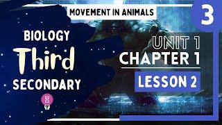 Biology 3rd Secondary Egypt - Chapter 1 - Lesson 2 - P3 ( Movement in Animals Introduction )