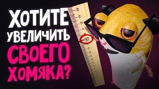 ХОМЯК МИША СТАЛ XXL | ПЕРВЫЙ СЕЗОН