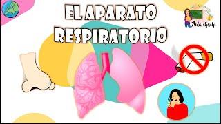 El aparato respiratorio | Aula chachi - Vídeos educativos para niños