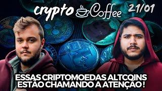 Criptomoedas Altcoins que Estamos de Olho !