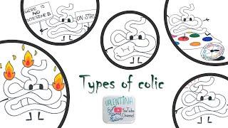 Types of colic in horses - Vet students