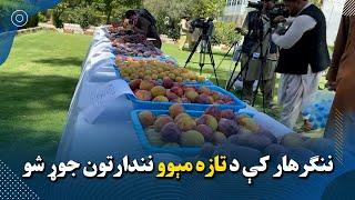 ننګرهار کې د تازه مېوو نندارتون جوړ شو Fresh fruits exhibitions held in Nangarhar