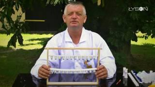 Hodowla matek pszczelich oraz znakowanie - LYSON