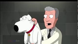 Family Guy - Brian Enters Dog Show