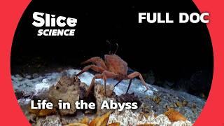 Unveiling the Abyss: Secrets of Deep-Sea Life | SLICE SCIENCE | FULL DOC