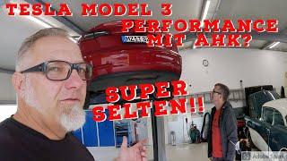 Fake Performance Model 3 mit AHK ?