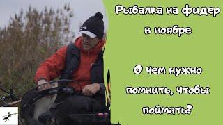 Рыбалка на фидер в ноябре. О чем нужно помнить, чтобы поймать? Для тех, кто не закрыл сезон #feeder