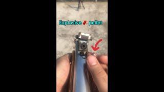 Airgun explosive pellet shooting #shorts | Explosive airgun pellet | airgun hunting in bangladesh