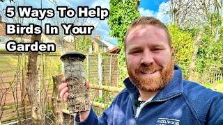 How To Help BIRDS In YOUR GARDEN This SPRING