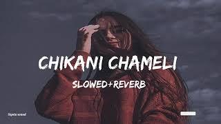 Chikani chameli || Slowed and Reverb || Signia sound #chikanichameli #lofi
