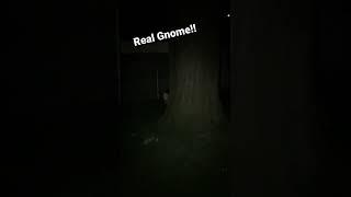 Real Gnome Caught On Camera!!!