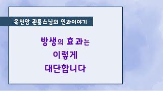 방생의 효과는 이렇게 대단합니다 [옥천암 관룡스님의 인과이야기]