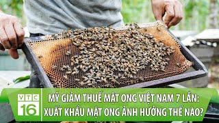 Mỹ giảm thuế mật ong Việt Nam 7 lần: Xuất khẩu mật ong ảnh hưởng thế nào? | VTC16