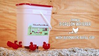 RentACoop 5 Gallon/ 4 Automatic Chicken Nipple Water Cup Chicken Waterer (Corner Placement)