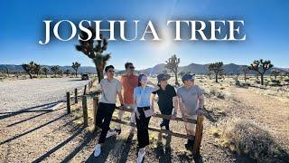 Crews are facinated by Joshua tree / Pilot vlog, LA day tour