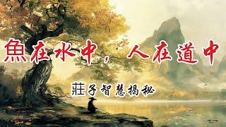 魚在水中，人在道中 莊子智慧揭秘 | 奧修 |《當鞋子合腳時》 | 莊子智慧 | 道家哲學 | 需求與慾望 | 無為而治 | 內心平靜 | 自然之道 | 活在當下 | 人生哲理 | 身心和諧