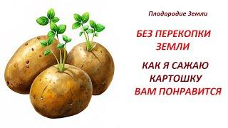 Как я сажаю картофель под органику без перекопки земли №456/24Мой способ