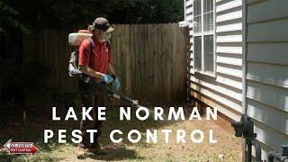 Everything you need to know about Pest Control services // Lake Norman // Pest Control Professional