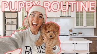 My PUPPY morning ROUTINE!! :)