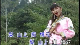 小萍萍 (Xiao Ping Ping) 梨山痴情花 (高清中国DVD版)