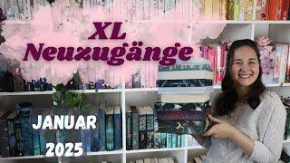 Mit 22 Geschichten ins neue Jahr! |Neuzugänge Januar 2025 |RiasSoulWords