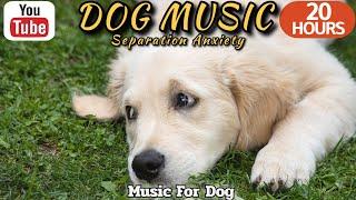 20 HOURS of Deep sleep & Separation Anxiety Music for DogDog Relaxation Calming Music healingmate