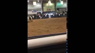 Bulls of the West, San Angelo