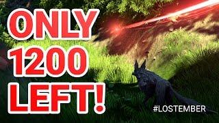 Lost Ember Vlog #1 - Kickstarter Preparations and Newsletter Challenge!