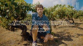 Jorge Monzón - Cepas viejas y viñedos centenarios: patrimonio vinícola en Ribera del Duero