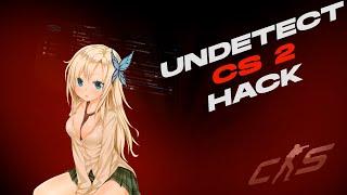 CS 2 Primordial Hack [2024] | Latest CS 2 Hacks | Aim & ESP Cheats