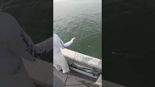 How To Properly Dehook Fish #shorts #sub #danthefishman #tips #howto #subscribe #fish #sub #fishing