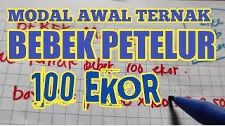 MODAL TERNAK BEBEK PETELUR 100 EKOR | TERNAK BEBEK PETELUR | TERNAK BEBEK PETELUR 100 EKOR