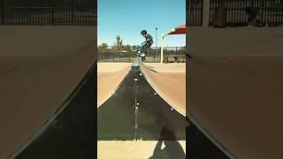 FATBOY BMX MINI BIKE MADNESS!!#shorts #bmx #skatepark