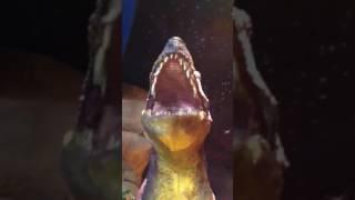Arguing with the Sicilian R-Rex