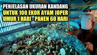 UKURAN KANDANG 100 EKOR AYAM JOPER UMUR 1 - 60 HARI || UKURAN KANDANG DARI DOC SAMPAI PANEN